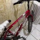 سيكل ترك