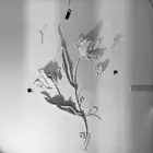 نحت جداري مباشر  رسم على الأسقف والحوائط