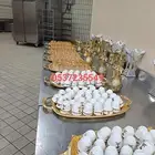 قهوجي وصبابين ومضيف رجال ونساء