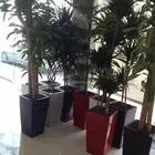 مهندس زراعي الرياض