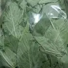 ملوخيه جيزانيه