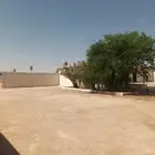 الخرج الهياثم العفجه نجديه الرحمانيه الشديده الرفايع العتيق