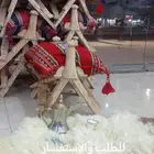 شداد مصري جمله ومفرد