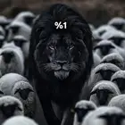 ت ق س ي ط الدمام