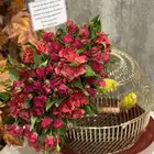 عروض اليوم الوطني95 - عرض اليوم الوطني95