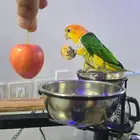 كايك وايت بيلي