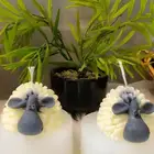 خاروف العيد مع التغليف