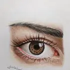 رسم احترافي