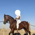 خيل عربي لايفوتكم