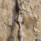 دبة رصاص كامري