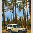 مصور - تصوير سيارات احترافي - تبوك