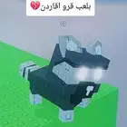 راكون مقابل 350 روبكس ماكون اول ماكون اول ماكون اول