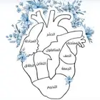 تحفيظ قرآن تعلم دروس دينيه