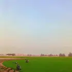 جميع انواع الثيل الطبيعي ثيل سي2000   فرنسي