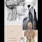دروس خصوصية لطلاب كلية الطب والجراحه