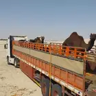 تريله تحميل ابل