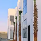 نخل وشنطن ونخل عربي