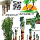 مؤسسه مقاولات توريد وتركيب اشبوك وسياج البند الثاني. م