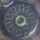 كلتش رياضي ايفولوشن