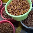 تمور حائل الفاخره