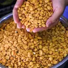 للوز بلدي خولاني زبيب رزقي يمني جعله ماشاء الله تبارك الله