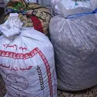 لوز بلدي بجلي مزارع الباحة