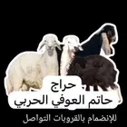 بيع وشراء حلال