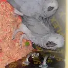 زوج كاسكو منتج تم البيع