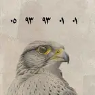 رقم مميز