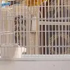 كناري تغريد نار