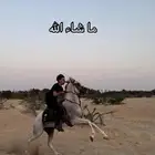 خيل شعبي حفيد ورد الريان ركوب طربب
