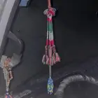 دانه الموقع بيشه