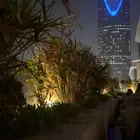 احتاج شقه ستديو للايجار شهري 1500