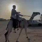 رحول طوع وعلى جميع الشروط
