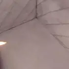 مجلس عربي