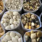 بحص زينه حصى زلط حجر صغير ديكور