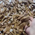 مروكي محسن فاخر متوفر كميه اقل كميه للطلب خمس كيلو ا