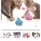 العاب و مستلزمات و أكل قطط