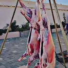معلم مشاوي شوي خارجي نجيك لموقعك ونجهز الذبيحة قدام عيونك