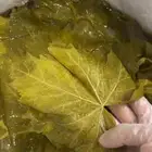 سطول ورق عنب بالجملة