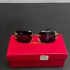 نظارات كارتير