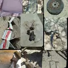 قطع قير 83وتحت نضيفه