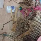 مجموعه اخشاب لاحواض السمك