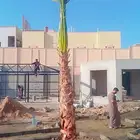 متوفر لدينا 8حبات واشنطني زينه 3امتار