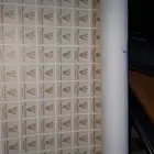 طباعه استيكرات لاصقه
