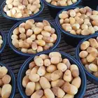 يوجد لدينا جميع انواع التمور لتواصل