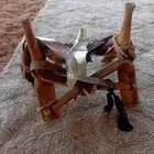 البيع شداد منتاز