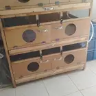 حاضنة طيور ذاتيه