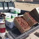 تمر برني فاخر الكميه محدوده