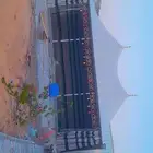 بيت شعر متحرك خيمه الصقور